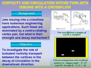VORTICITY AND CIRCULATION WITHIN TWIN JETS ISSUING INTO