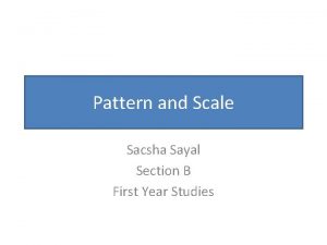 Pattern and Scale Sacsha Sayal Section B First