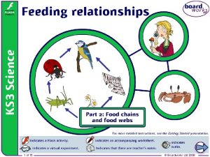 Feeding relationships 1 of 16 Boardworks Ltd 2008