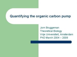 Quantifying the organic carbon pump Jorn Bruggeman Theoretical