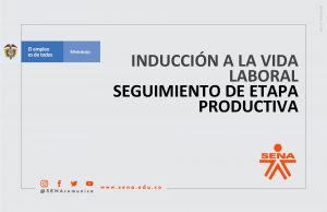 INDUCCIN A LA VIDA LABORAL SEGUIMIENTO DE ETAPA