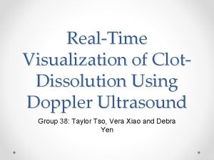 RealTime Visualization of Clot Dissolution Using Doppler Ultrasound