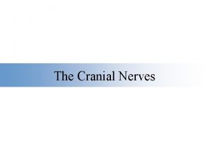 The Cranial Nerves I Olfactory II Optic III