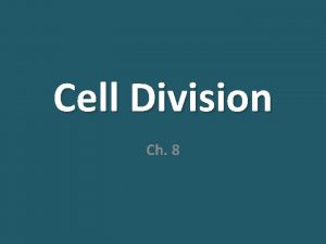 Cell Division Ch 8 Why Do Cells Divide