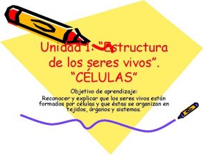 Unidad 1 Estructura de los seres vivos CLULAS