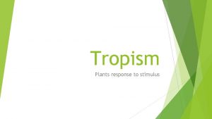 Tropism Plants response to stimulus What is Tropism