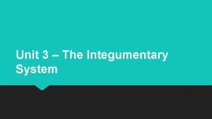 Unit 3 The Integumentary System The Integumentary System