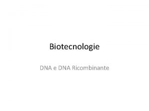 Biotecnologie DNA Ricombinante Il DNA Lacido desossiribonucleico una