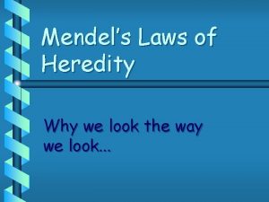 Mendels Laws of Heredity Why we look the