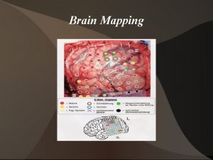 Brain Mapping History Scientists first learned about brain