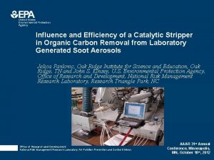 Influence and Efficiency of a Catalytic Stripper in