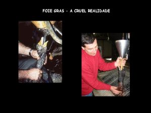 FOIE GRAS A CRUEL REALIDADE Imagine que acabou