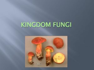 KINGDOM FUNGI Characteristics of Fungi Can be found