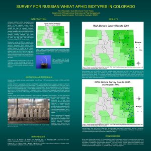 SURVEY FOR RUSSIAN WHEAT APHID BIOTYPES IN COLORADO