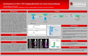 Development of a PDL 1 PET Imaging Biomarker