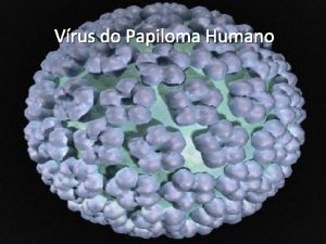 Vrus do Papiloma Humano HPV ou tambm conhecido