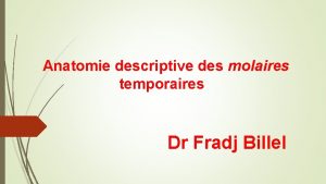 Anatomie descriptive des molaires temporaires Dr Fradj Billel