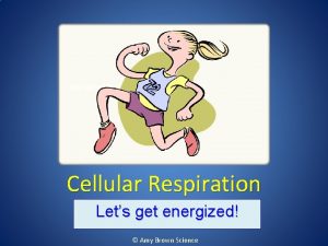 Copyrighted by Amy Brown Science Stuff Cellular Respiration
