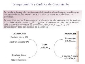 Estequiometra y Cintica de Crecimiento Se requiere de