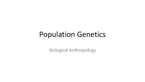 Population Genetics Biological Anthropology Population A potentially interbreeding