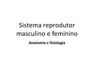 Sistema reprodutor masculino e feminino Anatomia e fisiologia