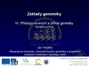 Zklady genomiky IV Pstupy reverzn a pm genetiky