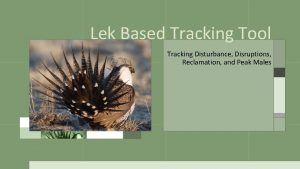 Lek Based Tracking Tool Tracking Disturbance Disruptions Reclamation