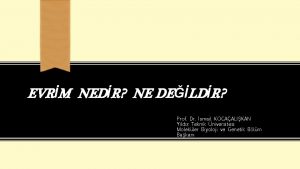 EVRM NEDR NE DELDR Prof Dr smail KOCAALIKAN