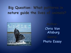 Big Question What patterns in nature guide the