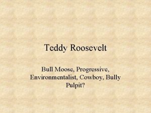 Teddy Roosevelt Bull Moose Progressive Environmentalist Cowboy Bully