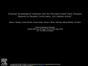 Extended Synaptotagmin Interaction with the Fibroblast Growth Factor