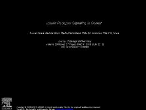 Insulin Receptor Signaling in Cones Ammaji Rajala Radhika