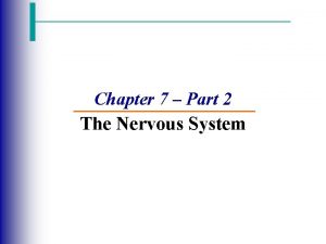 Chapter 7 Part 2 The Nervous System Axons