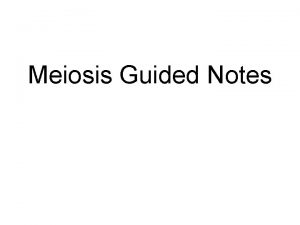 Meiosis Guided Notes Interphase Prior to prophase I