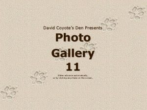 David Coyotes Den Presents Photo Gallery 11 Slides