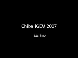 Chiba i GEM 2007 Marimo What the hell