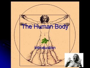 The Human Body Introduction The Human Body An
