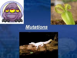 Mutations Mutations Change in the DNA May affect