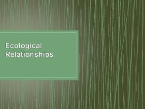 Ecological Relationships Ecological Relationships Population Dynamics the pattern