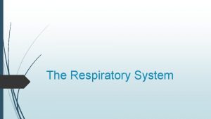 The Respiratory System Functions of Respiratory System Pulmonary