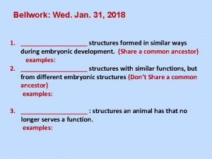 Bellwork Wed Jan 31 2018 1 structures formed