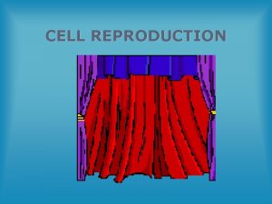 CELL REPRODUCTION THE CELL CYCLE AND MITOSIS CELL
