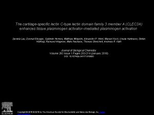 The cartilagespecific lectin Ctype lectin domain family 3