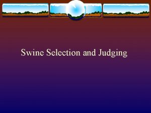 Swine Selection and Judging Parts of a Hog