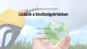 Lipzok a biodzelgyrtsban Csnyi Boglrka Matin Zsfia Varga