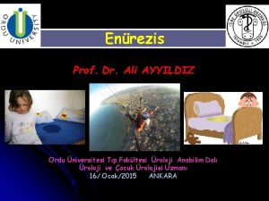 Enrezis Prof Dr Ali AYYILDIZ Ordu niversitesi Tp