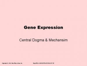 Gene Expression Central Dogma Mechansim Copyright 2002 John