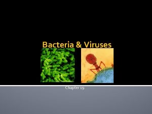 Bacteria Viruses Chapter 19 Bacteria Microscopic life covers