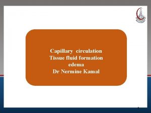 Capillary circulation Tissue fluid formation edema Dr Nermine