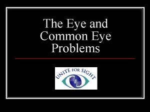 The Eye and Common Eye Problems Anatomy of